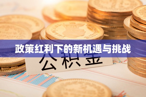 仙桃政策红利下的新机遇与挑战