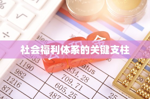 仙桃社会福利体系的关键支柱