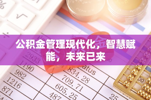 仙桃公积金管理现代化，智慧赋能，未来已来
