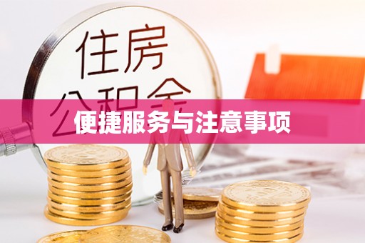仙桃便捷服务与注意事项
