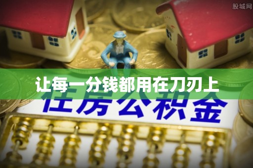 仙桃让每一分钱都用在刀刃上